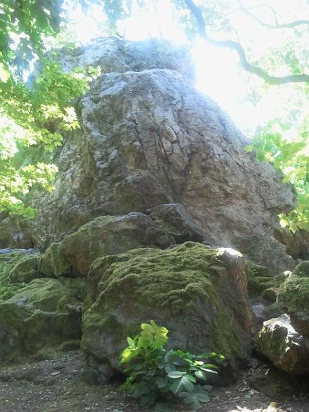 2017-05-20 12.06.10.jpg